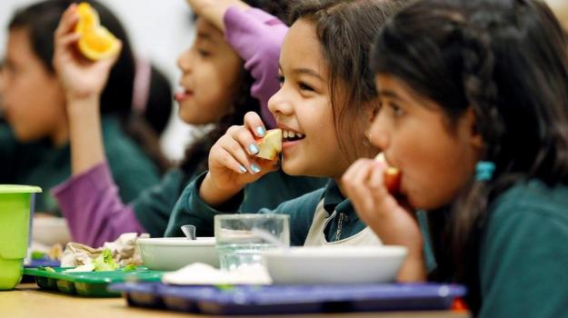 Action Needed Today: School Meals for All 